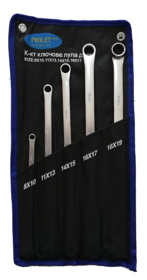 5 pcs Extra-long offcet ring wrench set 8 - 19 mm PROF, 150367